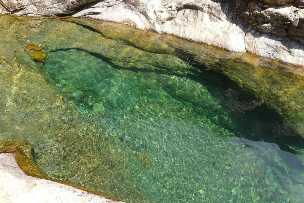 Le Capu Biancu-Location Avec Vue Proche Des Gorges De L Asco Entre Mer Et Montagne Moltifao Екстер'єр фото