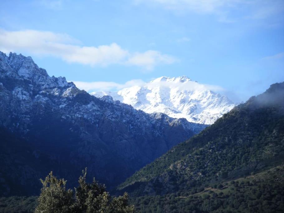 Le Capu Biancu-Location Avec Vue Proche Des Gorges De L Asco Entre Mer Et Montagne Moltifao Екстер'єр фото